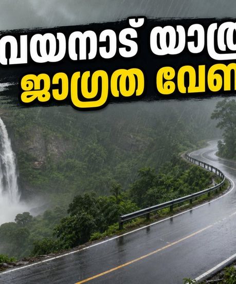 വയനാട് യാത്ര പ്ലാൻ ചെയ്തവർ ശ്രദ്ധിക്കൂ; കനത്ത മഴയിൽ ട്രെക്കിംഗിന് നിയന്ത്രണം, അറിയേണ്ടതെല്ലാം
