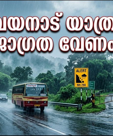 വയനാട് യാത്ര പ്ലാൻ ചെയ്തവർ ശ്രദ്ധിക്കൂ; മഴയിൽ വെള്ളച്ചാട്ടങ്ങൾക്കും സഫാരിക്കും നിയന്ത്രണം, അറിയേണ്ടതെല്ലാം
