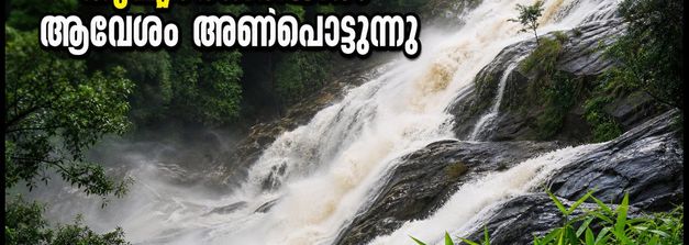 വയനാട് യാത്ര മാറ്റിവെച്ച് സഞ്ചാരികൾ തുഷാരഗിരിയിലേക്ക്; മലബാർ റിവർ ഫെസ്റ്റിവൽ 2026 ആവേശം തുടങ്ങുന്നു!