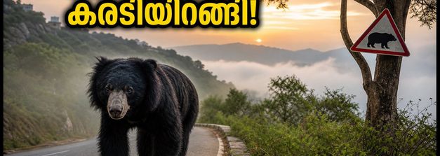 നന്ദി ഹിൽസിൽ കരടിയുടെ സാന്നിധ്യം; സഞ്ചാരികൾക്ക് കർശന ജാഗ്രതാ നിർദ്ദേശം, യാത്രയ്ക്ക് മുൻപ് ഇതറിയൂ