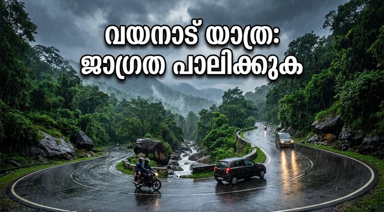 വയനാട് യാത്ര പ്ലാൻ ചെയ്യുകയാണോ? കനത്ത മഴയിൽ വിനോദസഞ്ചാര കേന്ദ്രങ്ങൾ അടച്ചു; യാത്രയ്ക്ക് മുൻപ് ഇതറിയൂ