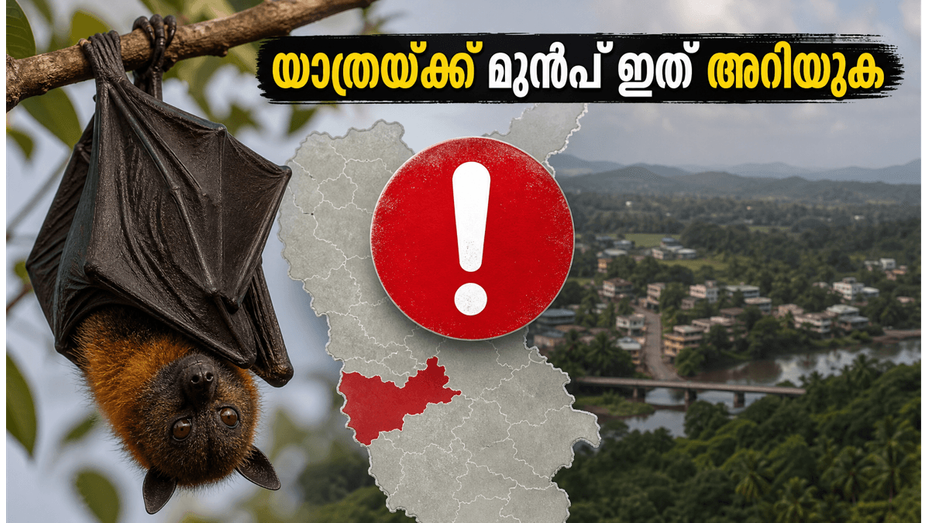 വയനാട് യാത്ര പ്ലാൻ ചെയ്യുന്നവർ ശ്രദ്ധിക്കുക; നിപ ജാഗ്രതയിൽ റൂട്ടുകൾ മാറി, സുരക്ഷാ നിർദ്ദേശങ്ങൾ ഇങ്ങനെ