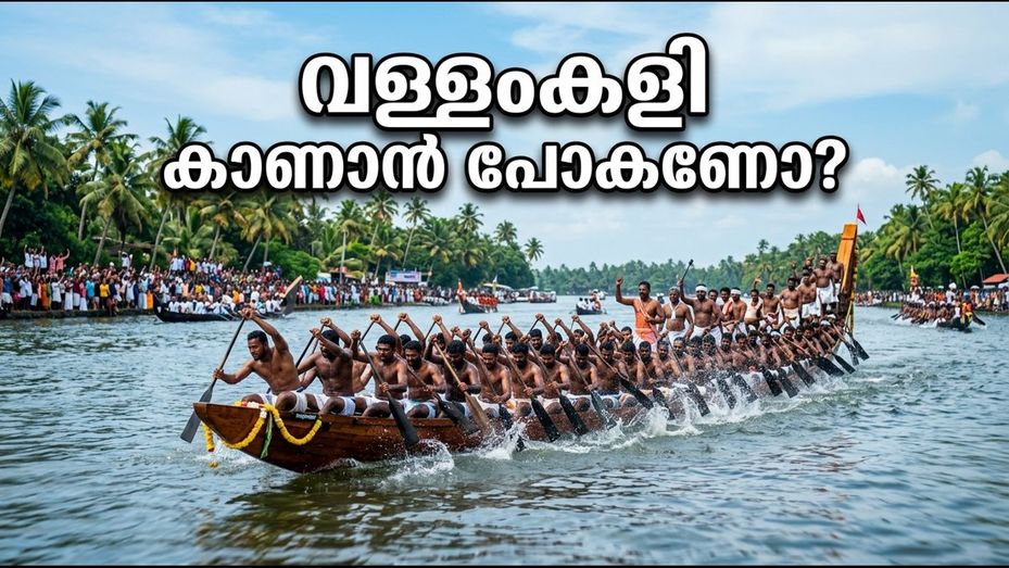 നെഹ്റു ട്രോഫി വള്ളംകളി: കൊച്ചിയിൽ നിന്ന് ആലപ്പുഴയിലേക്ക് ഒരു കിടിലൻ യാത്ര പ്ലാൻ ചെയ്യാം
