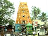 വർഷത്തിൽ പത്തുദിവസം മാത്രം തുറക്കുന്ന അത്ഭുത ക്ഷേത്രം!