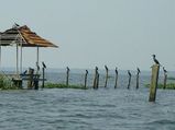 സഞ്ചാരികളുടെ ഉത്തരവാദിത്തങ്ങൾ