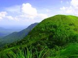 സഞ്ചാരികൾ തേടുന്ന കേരളത്തിലെ മലമേടുകൾ
