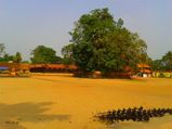 വഴിപാടായി കോഴികളെ പറപ്പിക്കാൻ ഒരു ക്ഷേത്രം 