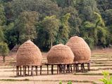 പശ്ചിമഘട്ടത്തിലെ പറുദീസകൾ