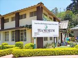 പ്രകൃതിയുടെ മിശ്രണം, ടാറ്റയുടെ പായ്ക്കിംഗ്