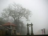  ബേക്കല്‍  റാണിപുരം  തലക്കാവേരി