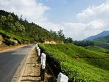 മൂന്നാറിനേക്കുറിച്ച് നിങ്ങള്‍ അറിയാന്‍ ആഗ്രഹിക്കുന്ന കാര്യങ്ങള്‍
