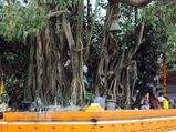 അമ്പലമില്ലാത്ത ഓച്ചിറയിലെ ഓംകാരമൂര്‍ത്തി 