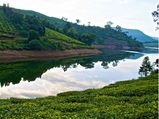 രാമക്കല്‍മേട് - തേനി - മേഘമലൈ യാത്ര