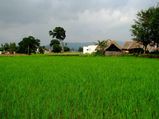 2015നെ വരവേല്‍ക്കാന്‍ ചില തെന്നിന്ത്യന്‍ സ്ഥലങ്ങള്‍