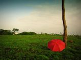 കാട്ടുപൂക്കളുടെ നാട്ടിലേക്ക് പൂനെയില്‍ നിന്ന് യാത്ര പോകാം