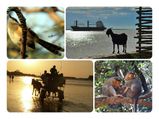  നഗരത്തിരക്കുകളില്‍ നിന്ന് മാറിനില്‍ക്കാന്‍ ചില സ്ഥലങ്ങള്‍