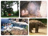 ഡാന്‍ഡേലിയിലേക്ക് യാത്ര പോകാം