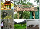 പറമ്പിക്കുളത്തേ ഇക്കോ ടൂറിസം വിശേഷങ്ങള്‍