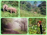 ഗവിയേക്കുറിച്ച് അറിഞ്ഞിരിക്കേണ്ട കാര്യങ്ങള്‍
