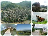 മാണ്ഢി- മലമുകളില്‍ ഒരു വാരണാസി