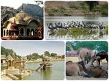 ഫാമിലി ട്രിപ്പ് പ്ലാന്‍ ചെയ്യുന്നവര്‍ക്ക് പോകാന്‍ രാജസ്ഥാനിലെ 10 സ്ഥലങ്ങള്‍