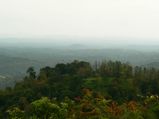 തടിയന്റെമോള്‍ ട്രെക്ക്; അറിഞ്ഞിരിക്കേണ്ട കാര്യങ്ങള്‍