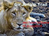 Gir Jungle Trail: അറിഞ്ഞിരിക്കേണ്ട 10 കാര്യങ്ങള്‍
