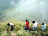 അമലാപോള്‍ അലഞ്ഞ് നടന്ന കുരങ്ങാണി