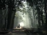ക്യാമറ കൊണ്ട് വേട്ടയാടാന്‍ ഒരു സ്ഥലം