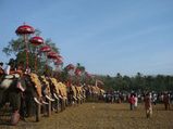 പൂരം കാണാൻ ഉത്രാളിക്കാവിലേക്ക്!
