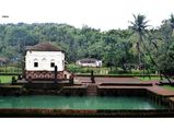 സഫാ മസ്ജിദ്; മോസ്കുകളിലെ ഗോവൻ ശൈലി