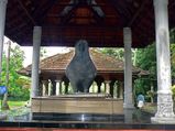 തുഞ്ചൻപറമ്പിലെ തത്ത‌യെ കണ്ടിട്ടുണ്ടോ?