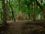 തേക്കുകള്‍ കഥപറയുന്ന നിലമ്പൂര്‍ കാണാം