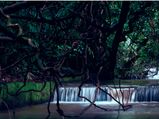 ഗോവന്‍ ട്രിപ്പ് അടിച്ചുപൊളിക്കാന്‍ 10 വ്യത്യസ്ത കാര്യങ്ങള്‍