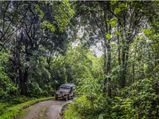 കരുതലോടെ കാനനയാത്രകള്‍