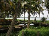 ശാപമോക്ഷവുമായി ആക്കുളം ടൂറിസ്റ്റ് വില്ലേജ്  