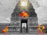 ദോഷങ്ങള്‍ അകറ്റാന്‍ ഈ രാശിക്കാര്‍ പോകണം ഈ ക്ഷേത്രങ്ങളില്‍