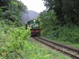 ആയിരം കാവുകളുള്ള ആര്യങ്കാവിന്റെ വിശേഷങ്ങൾ