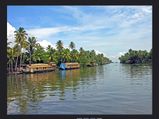 റോഡിലൂടെ കാണുന്ന ആലപ്പുഴയും കൊച്ചിയുമല്ല..ഇത് കായൽയാത്രയിലെ കാഴ്ചകൾ!