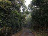 തമിഴ്നാട്ടിലെ കാടുകളെ അറിയാം..