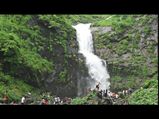 മുംബൈയുടെ പച്ചപ്പിലേക്കൊരു യാത്ര പോകാം...