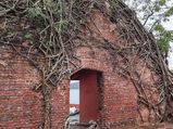 നിഗൂഢതകൾ ഒളിപ്പിക്കുന്ന ആൻഡമാനിലെ അത്ഭുത ദ്വീപ് അറിയുമോ...