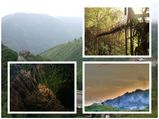 വേരുകൊണ്ടുള്ള പാലങ്ങളും രഹസ്യങ്ങളുള്ള ഗുഹകളും ചേർന്ന ചിറാപുഞ്ചി