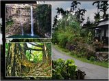 മഴക്കാലത്ത് മേഘാലയ സന്ദർശിക്കാന്‍ ഈ കാരണങ്ങൾ പോരെ??!!