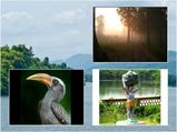  കൊച്ചിയിൽ നിന്നും തട്ടേക്കാടിലേയ്ക്ക് ഒരു എളുപ്പയാത്ര