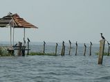 കേരളത്തിലെ പക്ഷിത്താവളങ്ങൾ