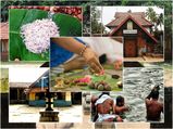 കർക്കിടക വാവിൽ ബലിതർപ്പണത്തിനായി ഈ ക്ഷേത്രങ്ങൾ 