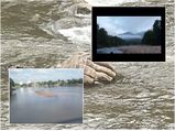 പ്രളയം പെരിയാറിൽ കൊണ്ടുവന്നത് നദിക്കടിയിലെ ദ്വീപ്...കാണാൻ തിരക്കേറുന്നു!!