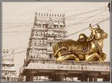  രക്തമൊലിക്കുന്ന ശിവലിംഗം...പുറംതിരിഞ്ഞിരിക്കുന്ന നന്ദി ...വിചിത്രമാണ് ഈ ക്ഷേത്രത്തിന്റെ വിശേഷങ്ങൾ!!