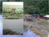 ഇങ്ങനെ പോയാൽ അധികകാലം കാണില്ല ഈ സ്ഥലങ്ങൾ 